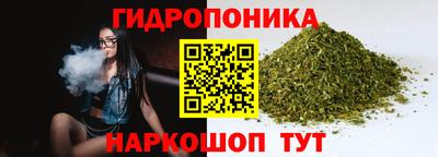 гашик Ливны