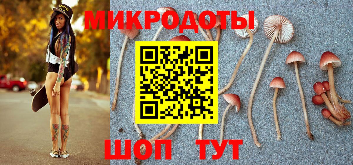 Галлюциногенные грибы Psilocybine cubensis  Вход с VPN  наркота  Галлюциногенные грибы ЛСД  Фрязино 