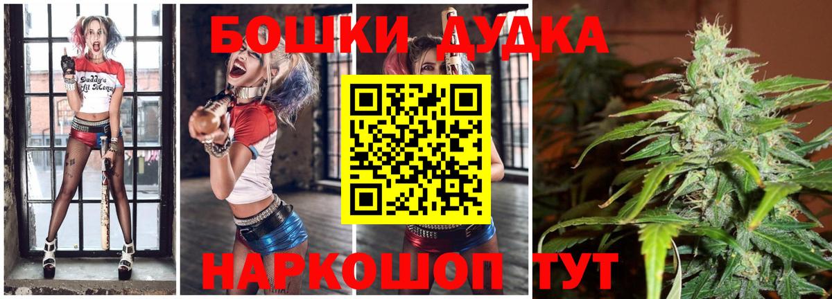Каннабис индика Фрязино